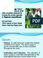 Opium 160604163652
