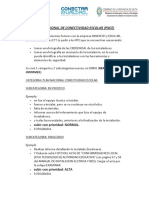 Pnce Conectar Igualdad PDF