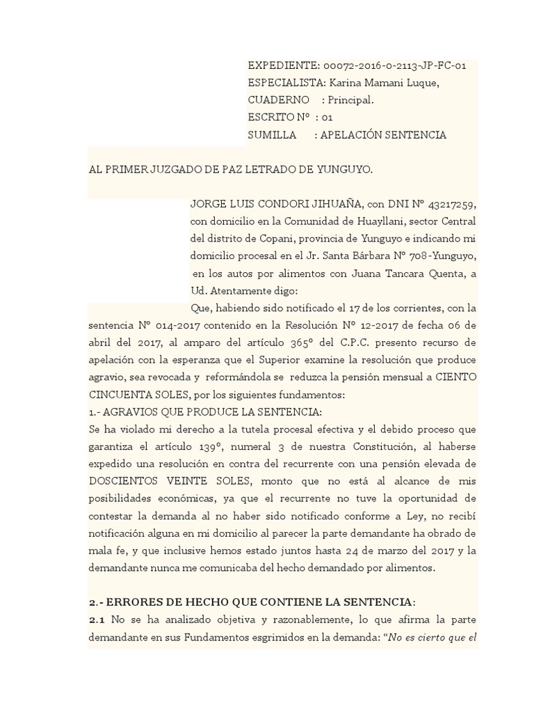 Apelacion de Sentencia de Alimentos PDF Manutención de los hijos Demanda judicial