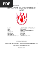 Download Pengamatan Koloni Bakteri Dan Jamur by Albet Dego Situmorang SN373225558 doc pdf