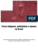 Perspectivas para A Implementação Do Socioambientalismo, v. II