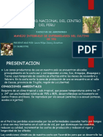 Universidad Nacional Del Centro Del Peru: Manejo Integrado de Enfermedades Del Cultivo de Vid
