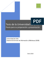 Pauta presentación Tesis.pdf