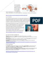 La Voz Humana Trabajo de Investigacion