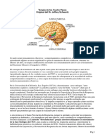 Terapia de Los 4 Pasos DR Jeffrey Schwartz