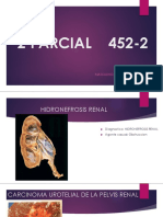 2 PARCIAL 452-2: Masculino, Femenino Y Urinario