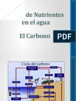 Capitulo 5 Nutrientes Carbono