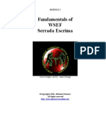 Fundamentals of Wsef System of Serrada Escrima Module 1