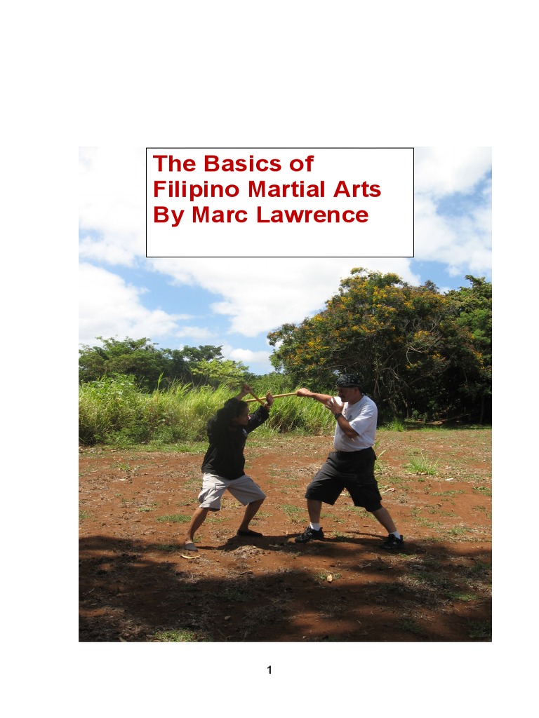 The Basics of Filipino Martial Arts PDF Combat Sports Sports