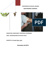 sincronizacindecelosotto-131114171323-phpapp01.pdf