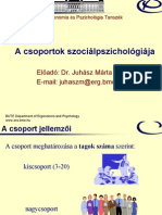 A Csoportok Szociálpszichológiája