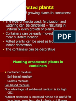 Potted Plants