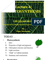 Lec4 Photosynthesis