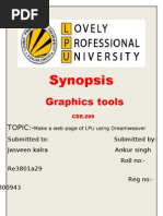 Synopsis: Graphics Tools