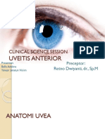 Css Uveitis Anterior Fix