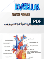 Anatomi Cardiovaskular