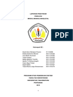 Laporan Praktikum Fisiologi Modul Muskuloskeletal