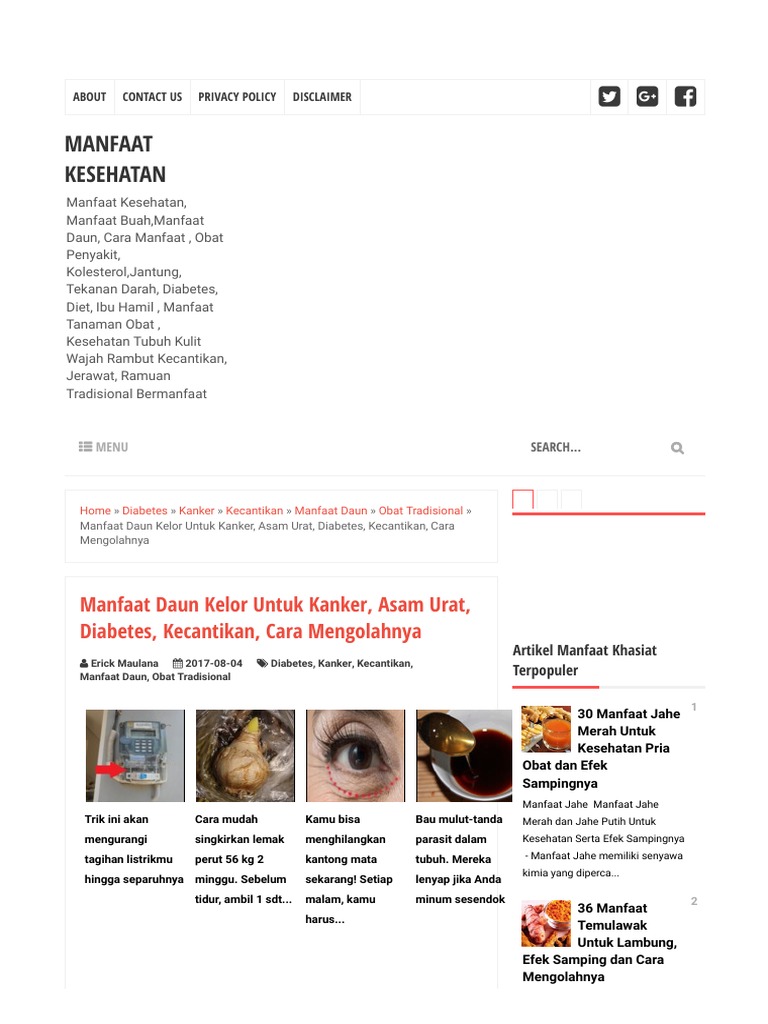 Khasiat Buah Okra Dan Cara Mengolahnya Blog Informasi 