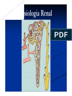 Fisiologia Renal 2