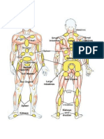 Human Body.pdf