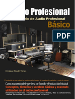 Diccionario de Audio Pro