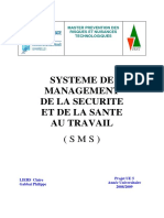 Cours Système de Management de la Santé et de la sécurité au travail - Master PRNT.pdf