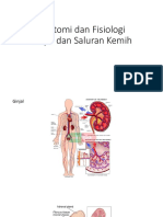 Anatomi Dan Fisiologi Ginjal