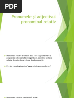 Pronumele Și Adjectivul Pronominal Relativ