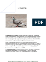 le-pigeon.pdf