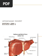ukki - entero lbm 1.pptx