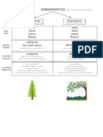 Classification of Plants