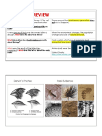 Evolution Test Review 1