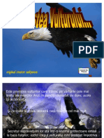 Povestea_vulturului