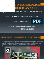 Sistema Fuel Flex