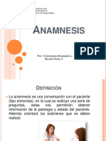 Anamnesis 130722170239 Phpapp01