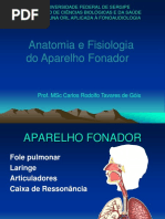 Anatomofisiologia Da Voz