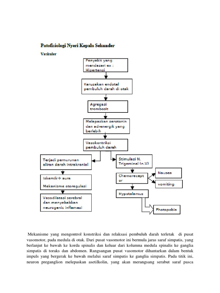 Mekanisme Nyeri Kepala | PDF