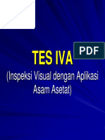 TES IVA Workshop IVA, Prof - Endy Moegni