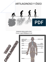 Practica de Histología (Tejido Cartilaginoso y Oseo)