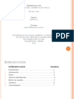 Caso Diagnostico Psicologico