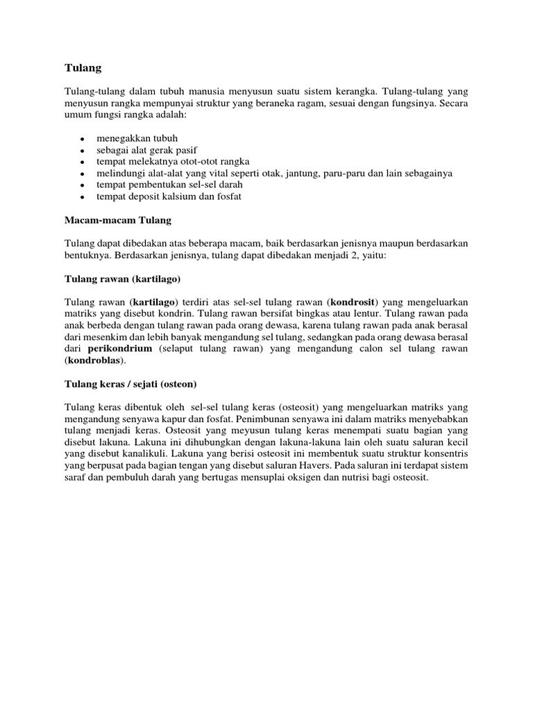 Tulang Rawan Pada Orang Dewasa Dibentuk Oleh Seputar Bentuk