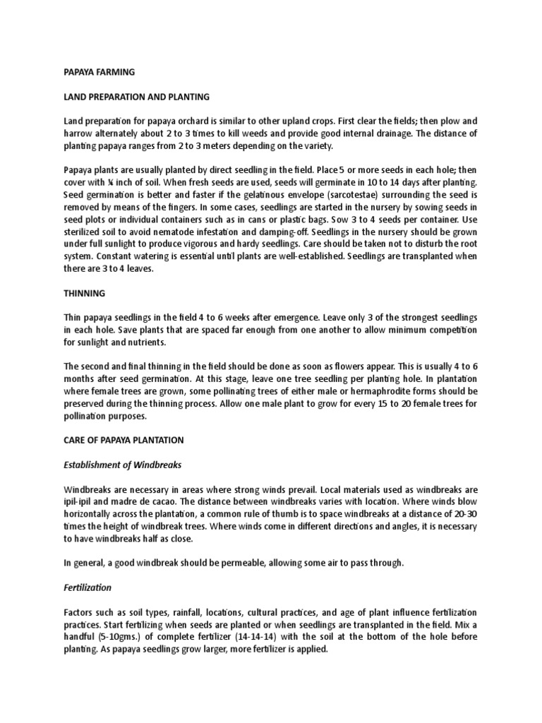 Papaya Farming Land Preparation and Planting Establishment of