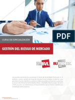 Gestión Del Riesgo de Mercado