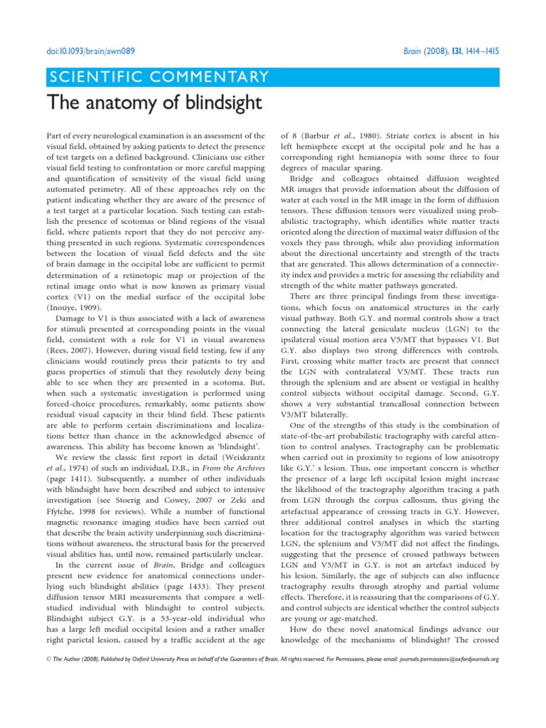 The Anatomy of Blindsight. PDF Visual System Visual Cortex
