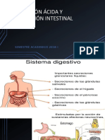 Secreción Ácida y Absorción Intestinal