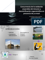 Oxidación Anaerobia y La Desnitrificación Organotrofica en Presencia de P-Cresol.