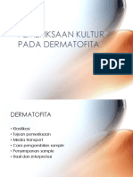 Kultur Jamur Dermatofita