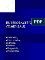 Enterobact Com