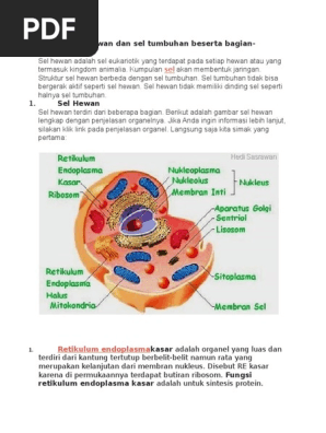 Sel Tumbuhan Dan Sel Hewan