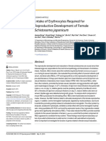 Intake of Erythrocytes Required For Reproductive Development of Female Schistosoma Japonicum